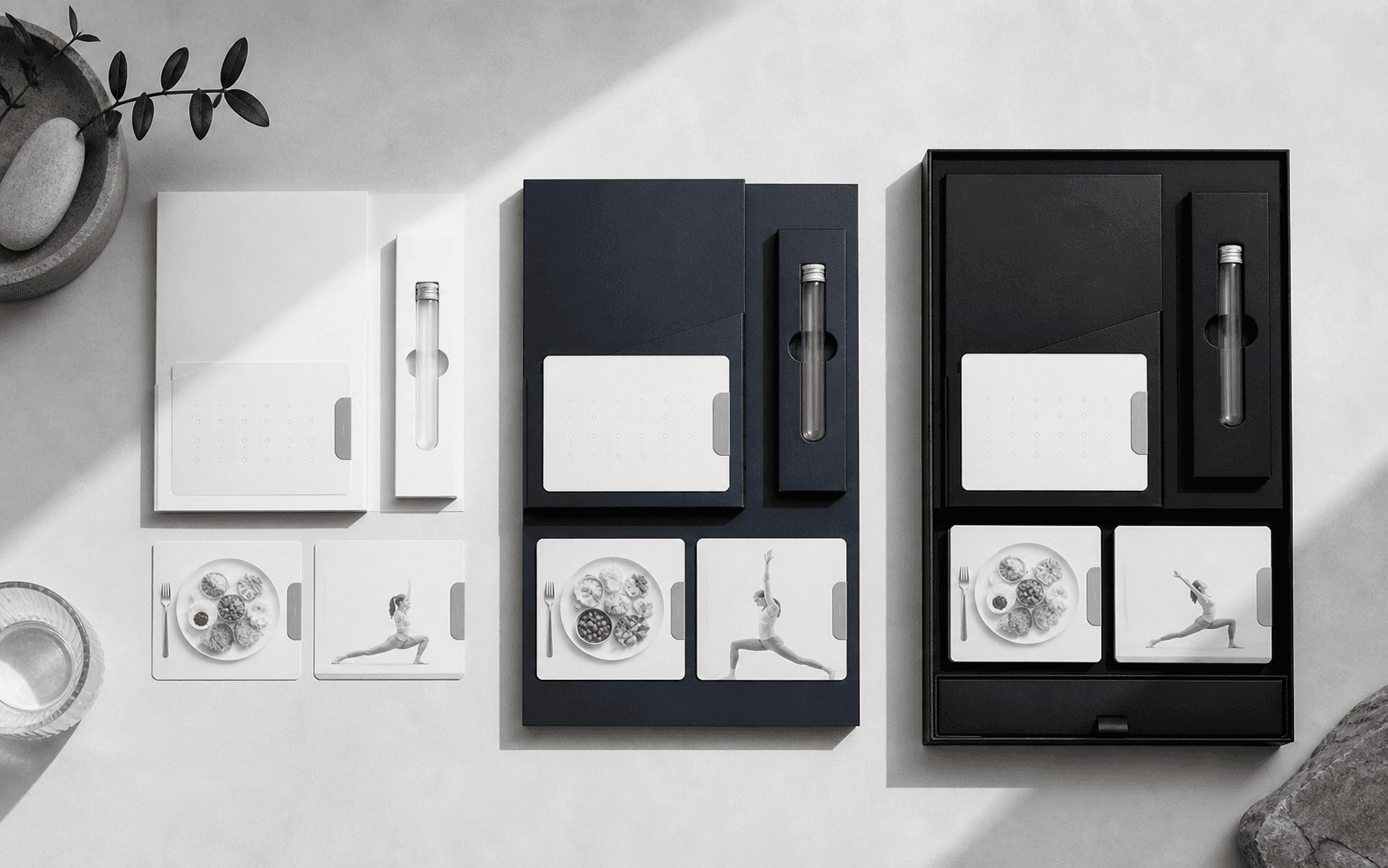 Three distinct Longevity Programme membership systems arranged from Foundation to Legacy